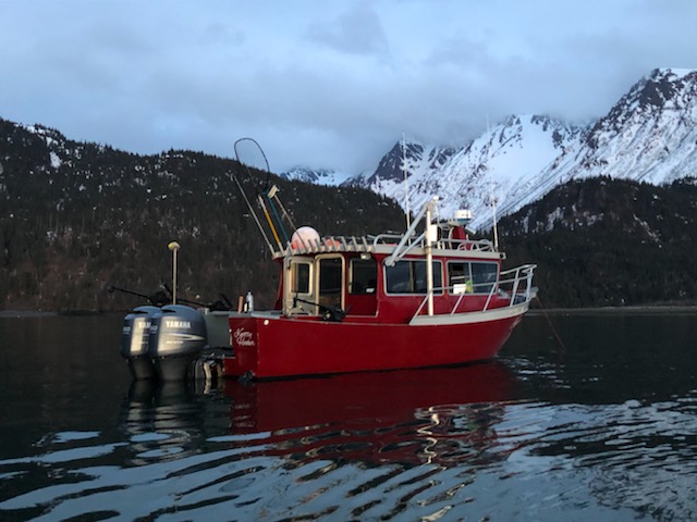 charter fishing trips in homer alaska